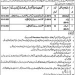 Faisalabad Govt Jobs Matric Base At District Health Authority